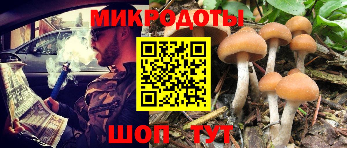 Галлюциногенные грибы Psilocybe  закладки  Серпухов  Вход с VPN  Галлюциногенные грибы мицелий 